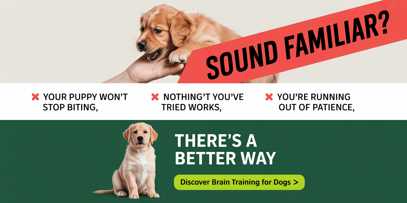 force-free-dog-training-methods