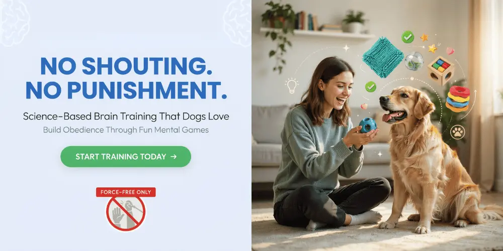 advanced-dog-training-brain-program