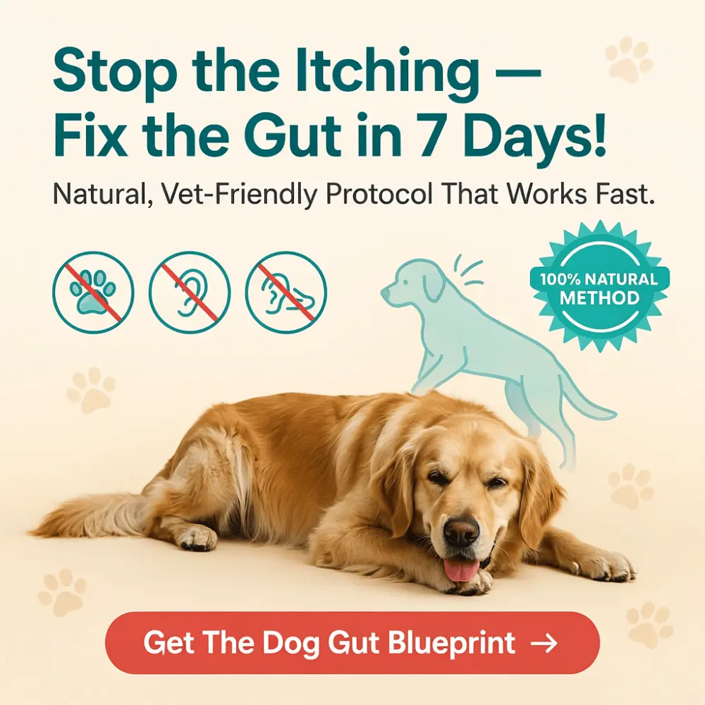 the-dog-gut-blueprint-for-healthy-dog-digestion