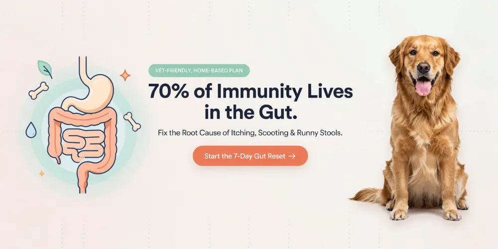 the-dog-gut-blueprint-improve-dog-gut-health-naturally