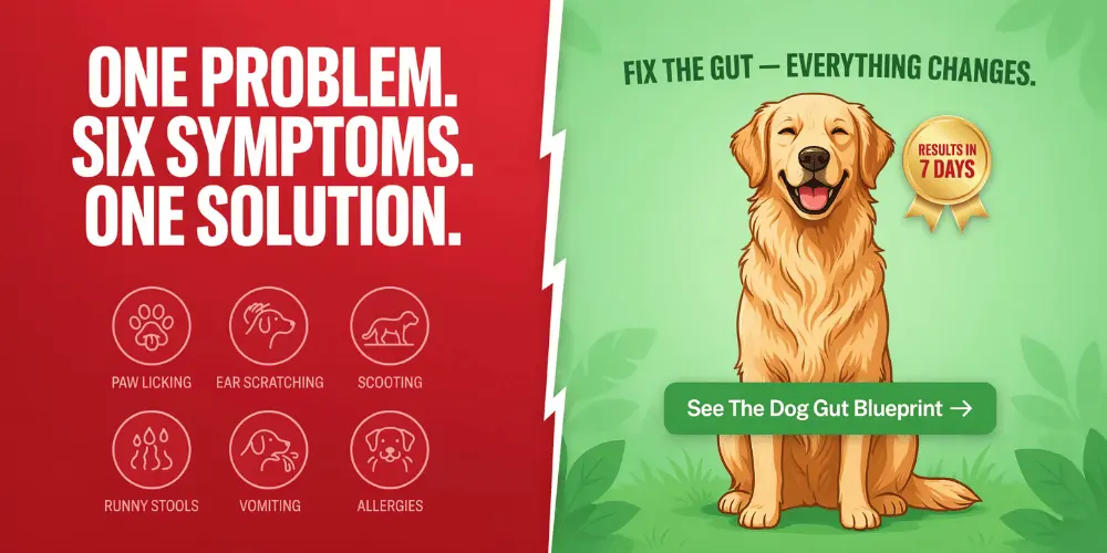 the-dog-gut-blueprint-natural-solution-for-dog-allergies