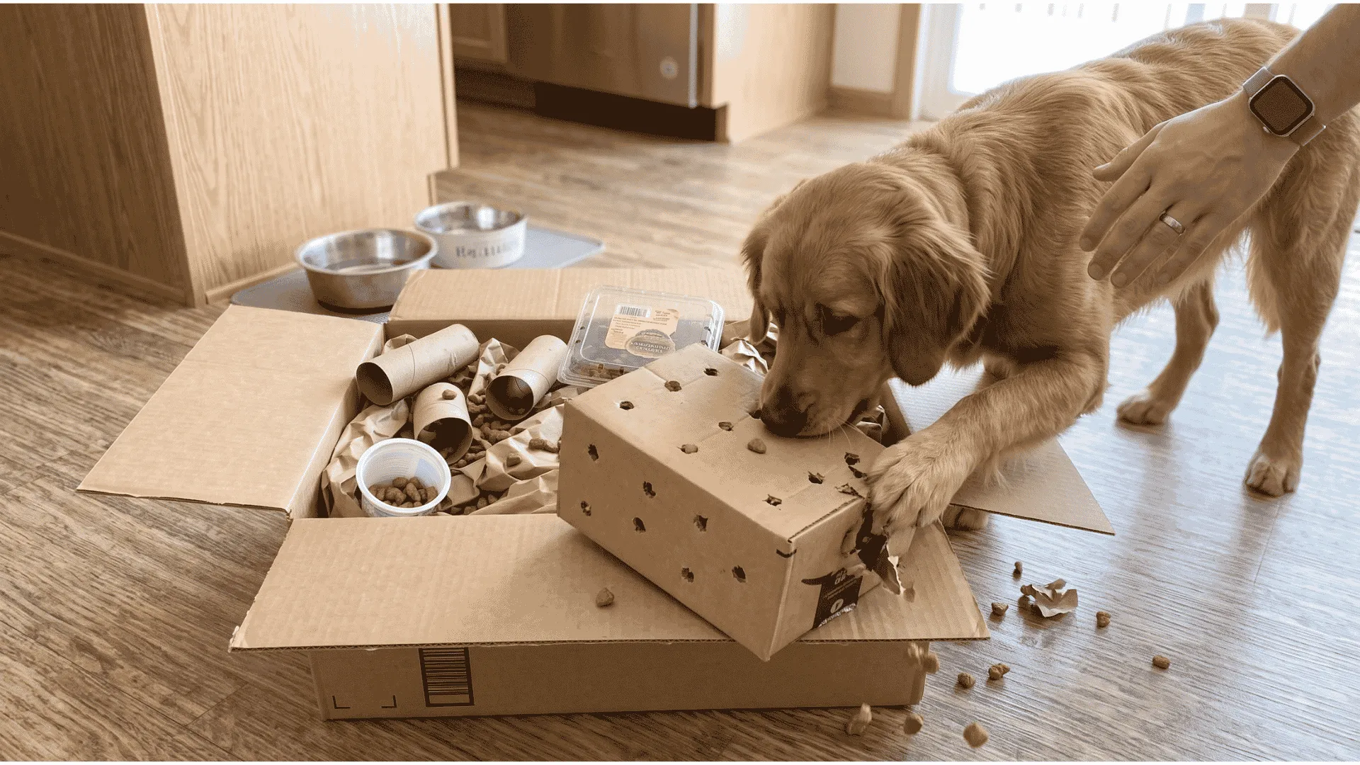 treat-filled-cardboard-destruction-box-dog-enrichment